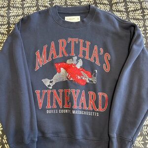 Abercrombie & Fitch Navy Crewneck Sweater